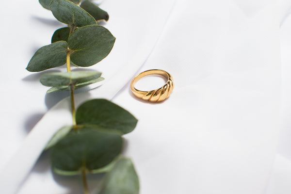THE ARLO RING
