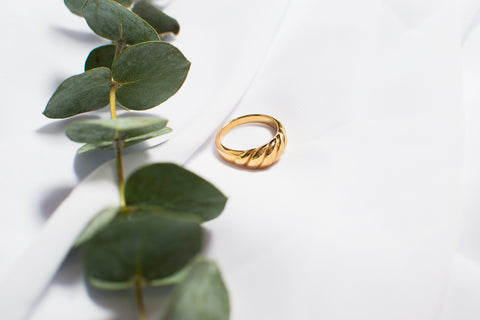 THE ARLO RING