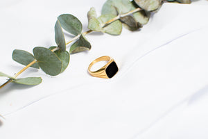 THE KAIDA RING