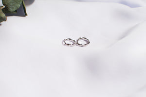 THE PAYTON HOOPS