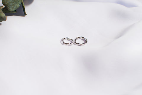 THE PAYTON HOOPS