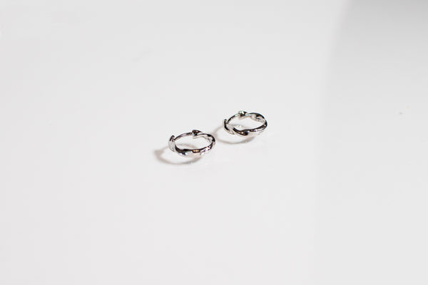 THE PAYTON HOOPS